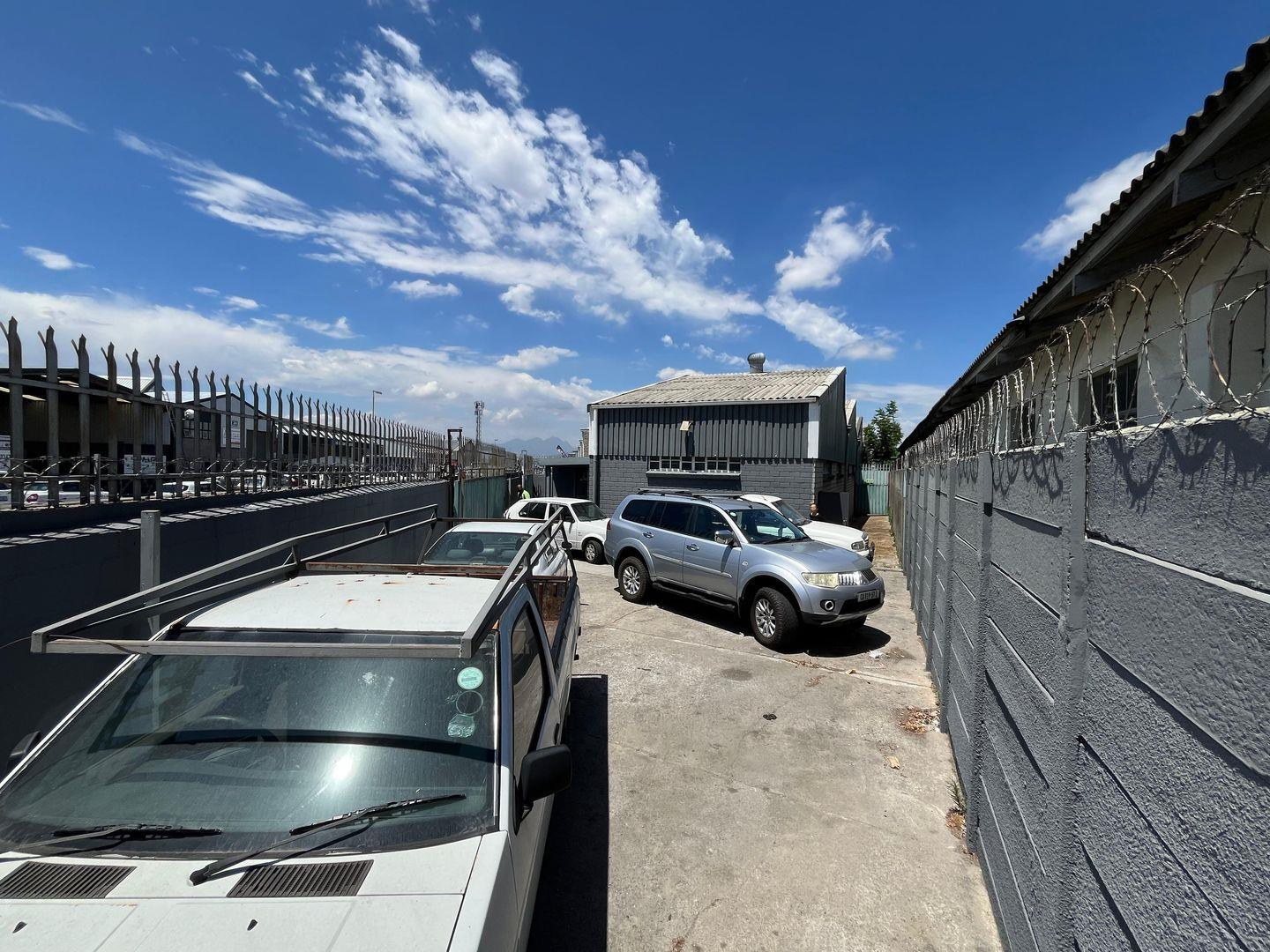 19 Willow St_ The Cape Town Property Group 5