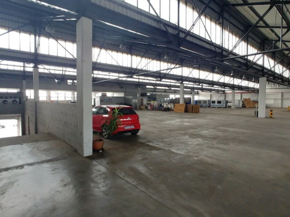 Warehouse For Lease In Paarden Eiland
